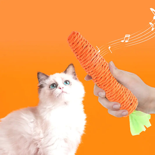 Catnip Carrot Bell Toy